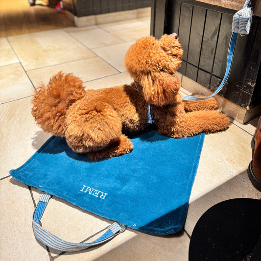 16.png__PID:41d1f3dd-ed97-40fc-97d5-e811476a6db6