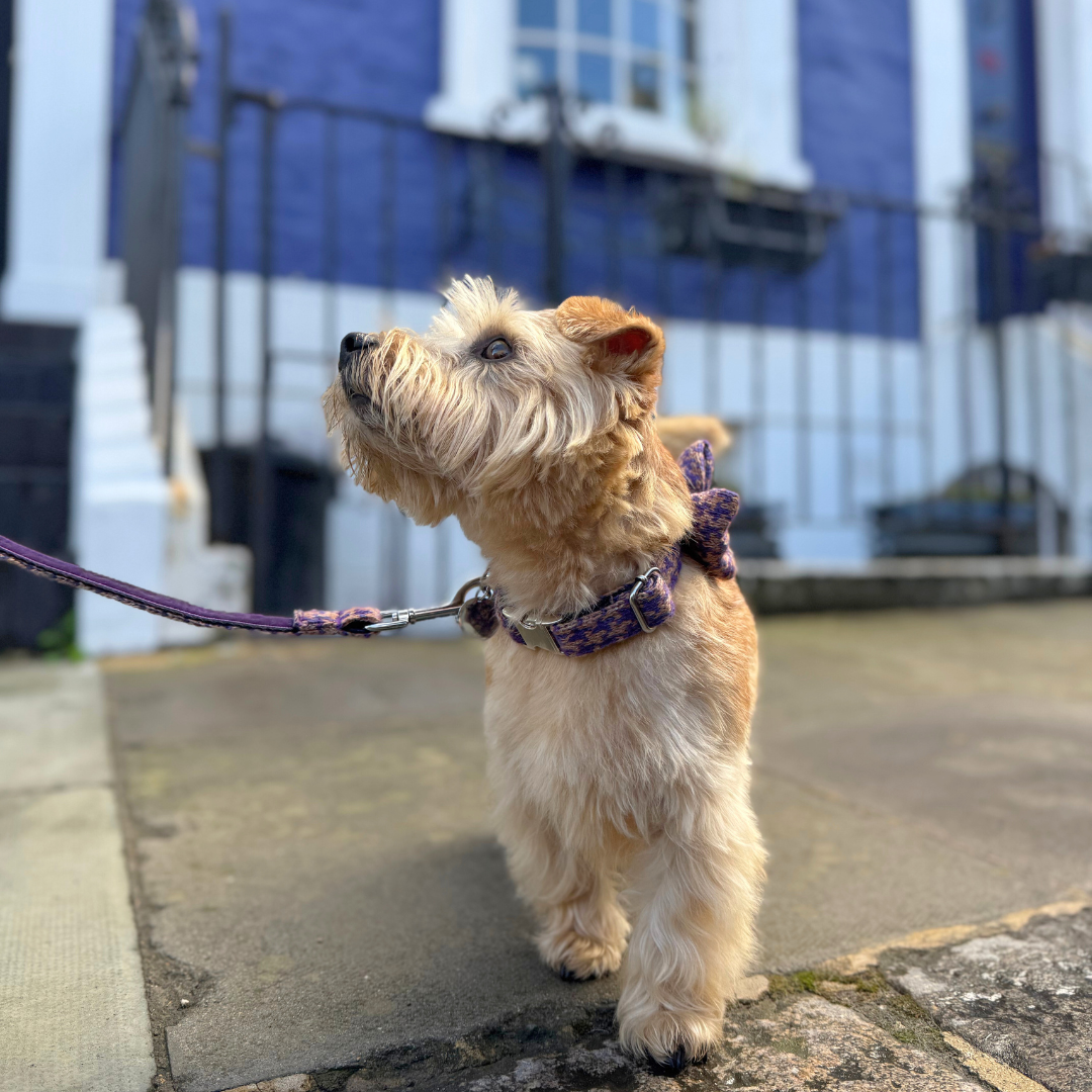 Kensington - Bespoke Gift Hamper