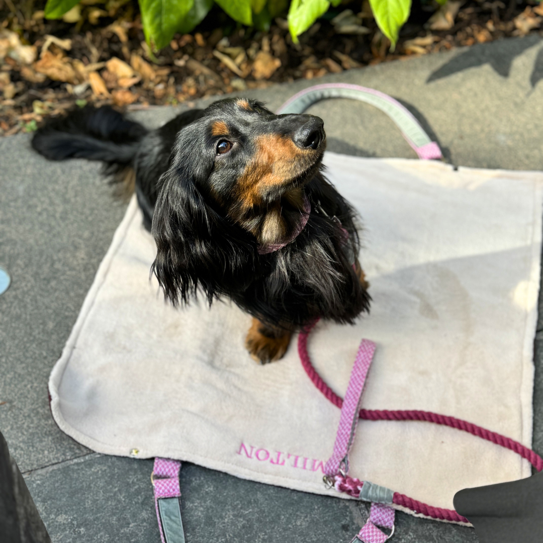 Luxury Travel Mat - Pink & Dove - Classic Collection