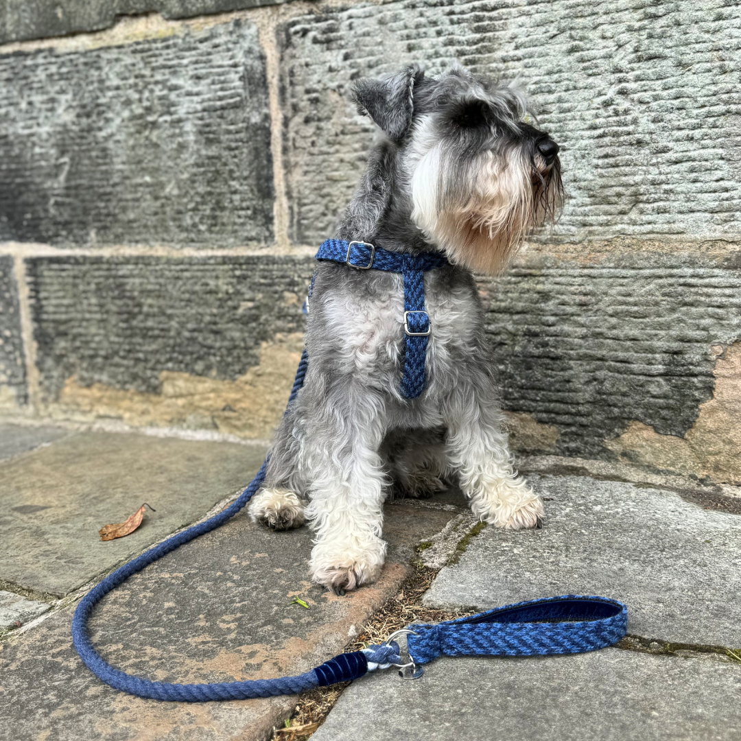 Cobalt - Rope Dog Lead