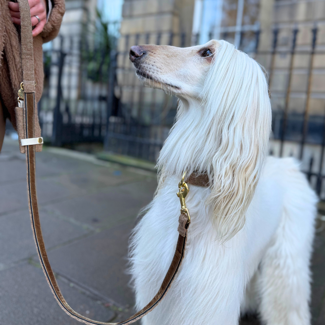 Cocoon - Bespoke Gift Hamper