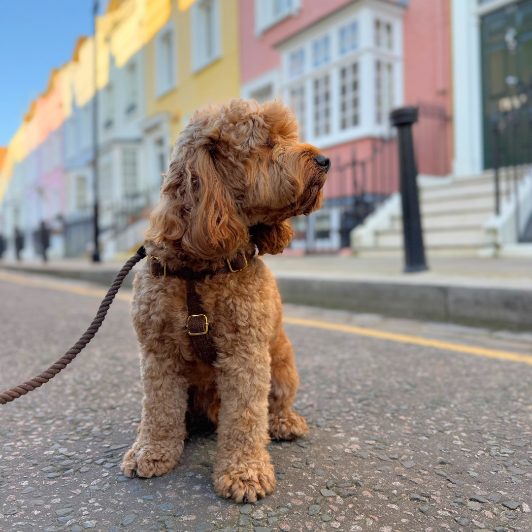 Bran - Bespoke Gift Hamper