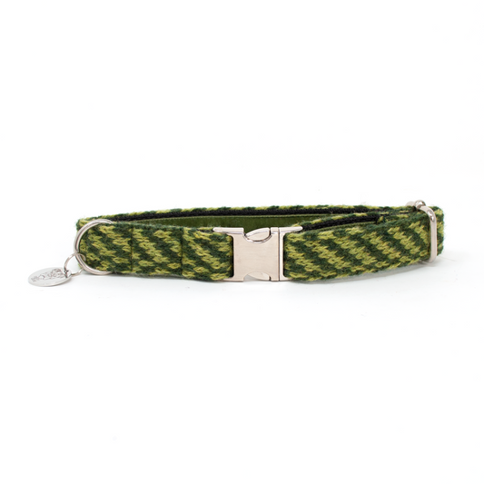 Lime - Luxury Dog Collar