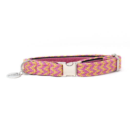 Peachy Punch - Bonbon Collection - Luxury Dog Collar