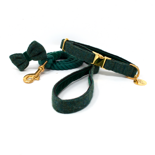 Tundra - The Holly Collection - Collar, Lead & Bow Tie Set