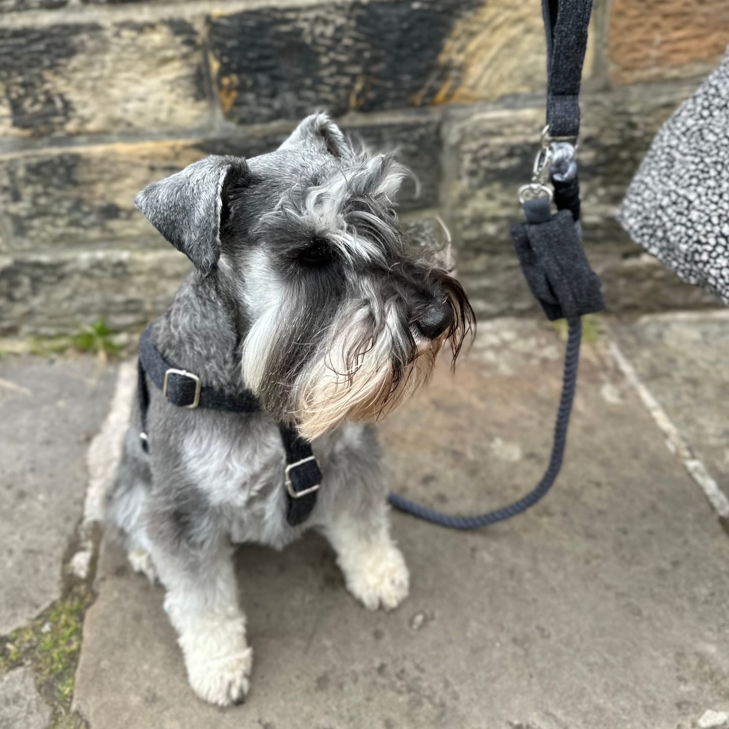 Charcoal - Autumn/Winter '23 Collection - Poo Bag Holder