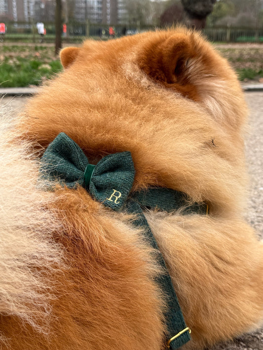 IMG_8569.JPG__PID:8a2e3f54-a6d2-4d96-83f3-17a798c55e08