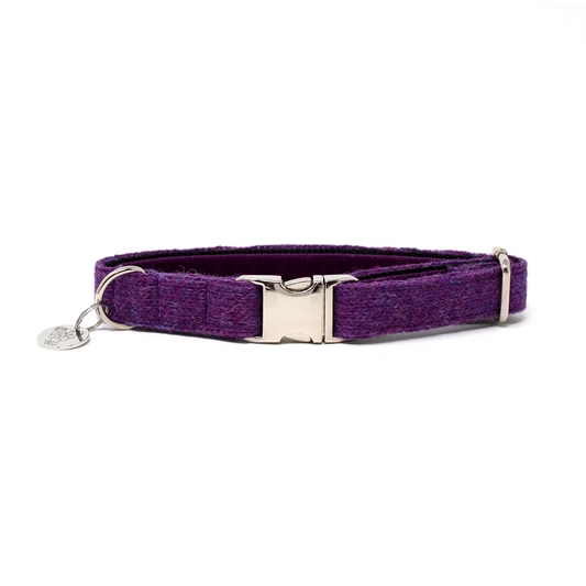 Parma - Autumn/Winter '23 Collection - Luxury Dog Collar