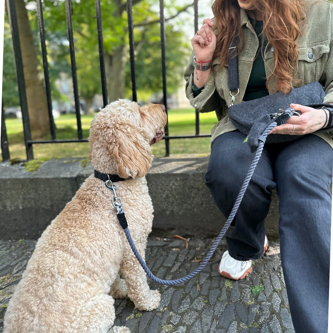 Charcoal - Autumn/Winter '23 Collection - Rope Dog Lead