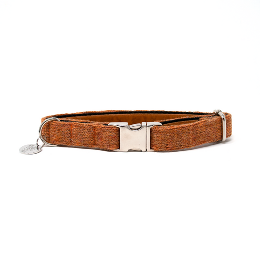 Copper - Autumn/Winter '23 Collection - Luxury Dog Collar