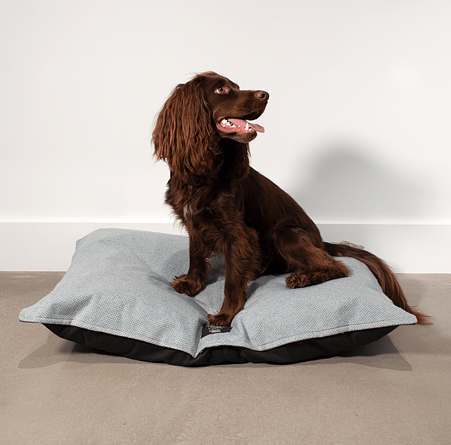 Pink & Dove - Harris Design - Luxury Dog Bed