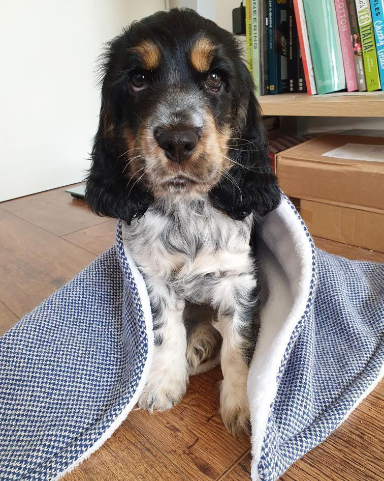 Navy & Dove - Harris Design - Luxury Dog Blanket