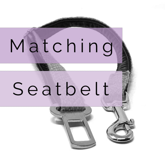 Matching Luxury Dog Seatbelt