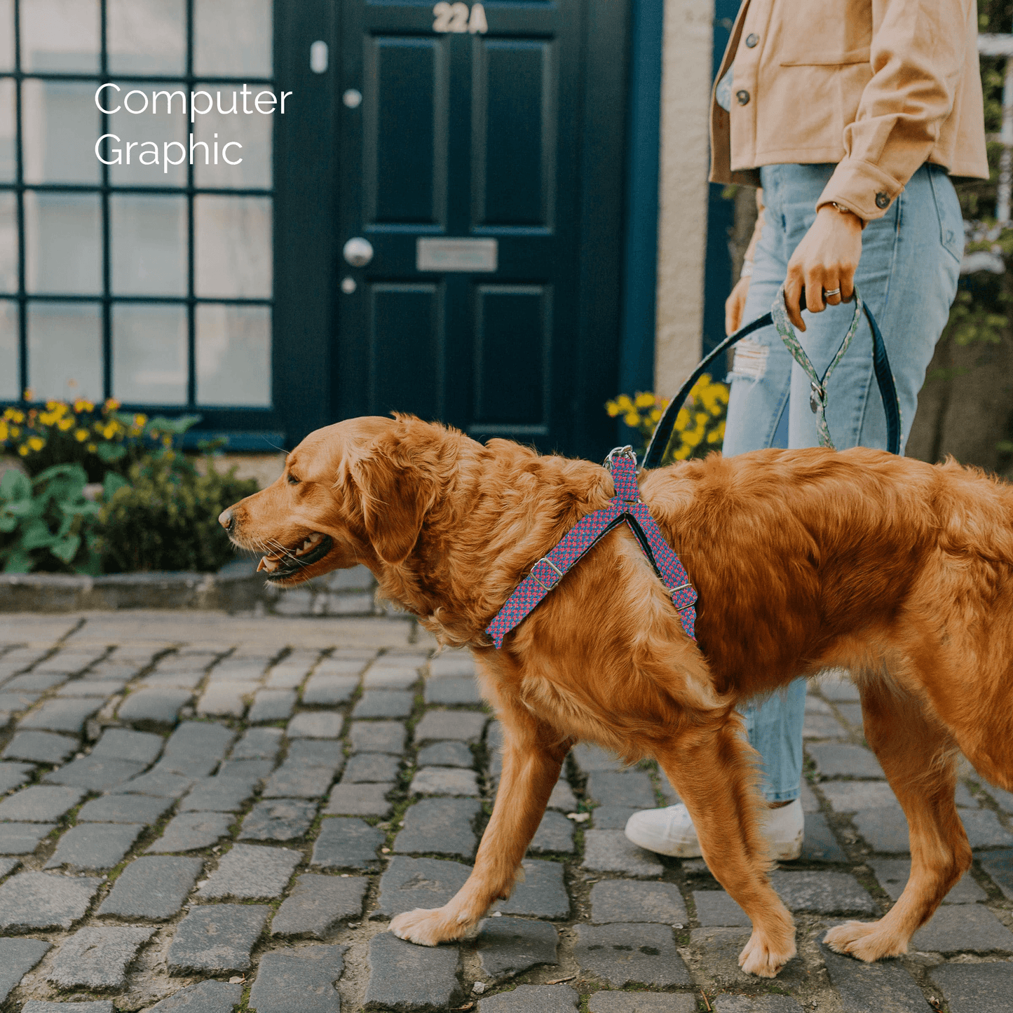 Bespoke Design: Geranium & Turquoise - Harris Design - Luxury Dog Harness