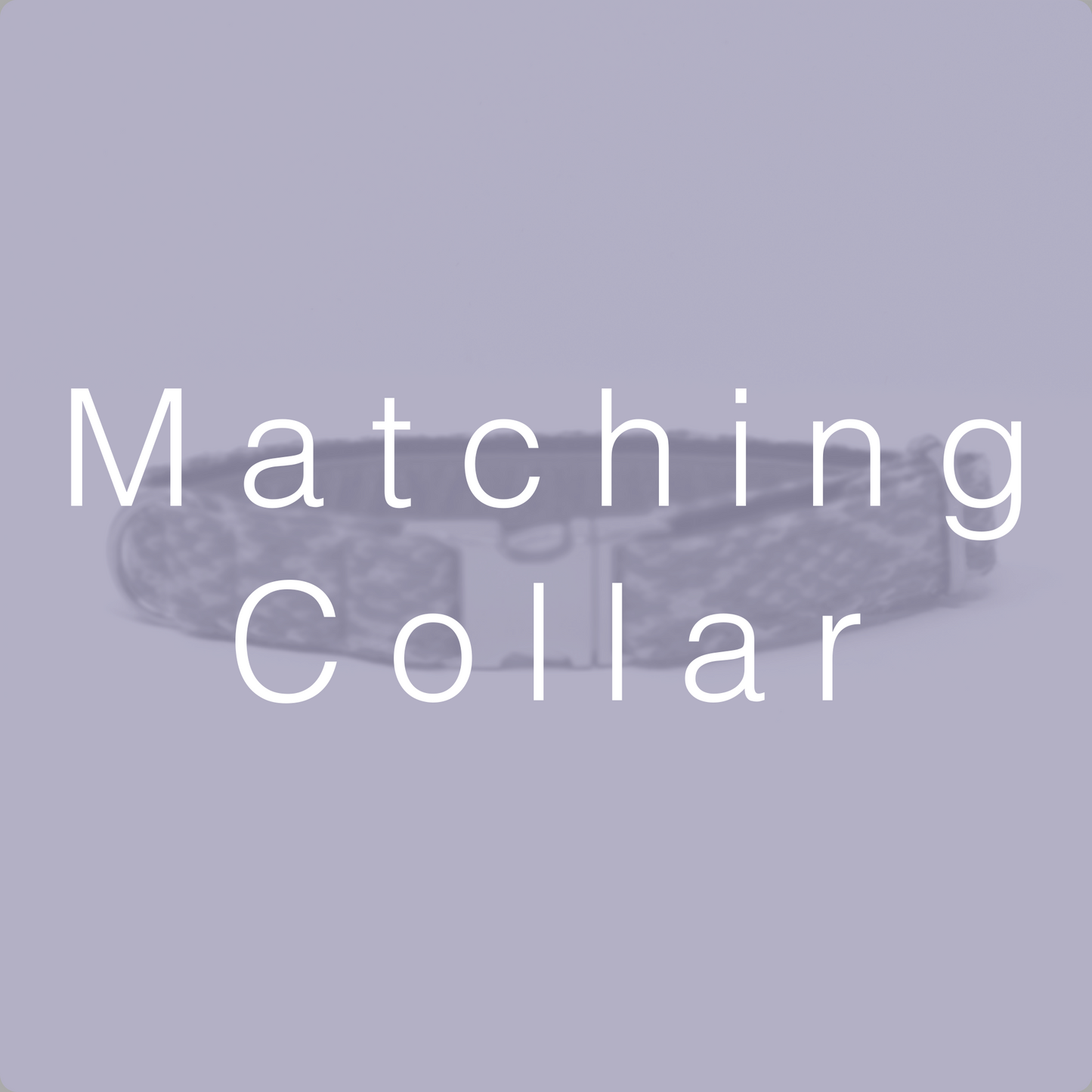 Matching Dog Collar