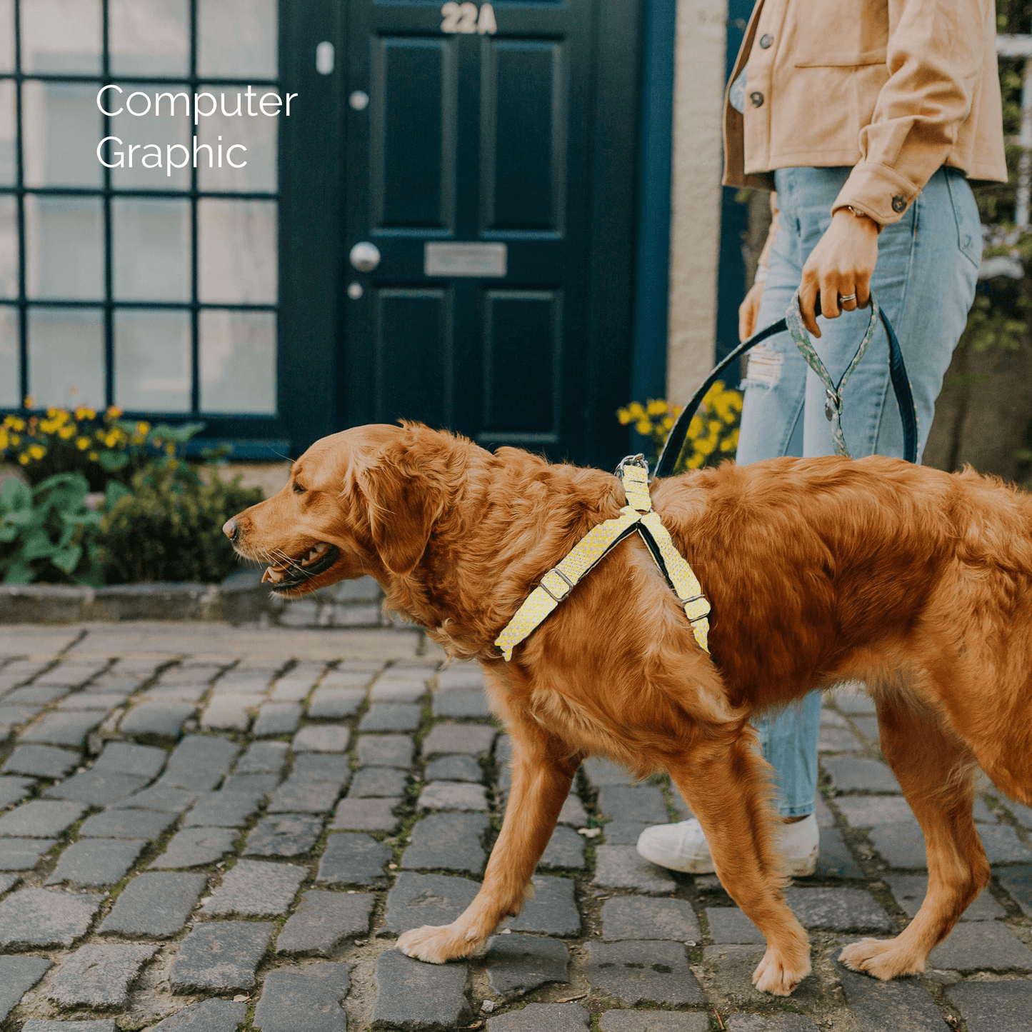 Bespoke Design: Dove & Yellow - Harris Design - Luxury Dog Harness