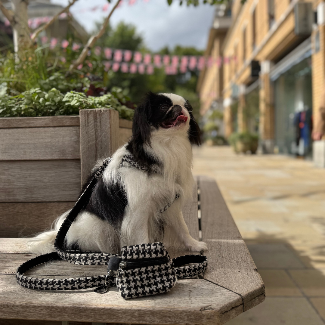Soho - Houndstooth '25 Collection - Treat Pouch