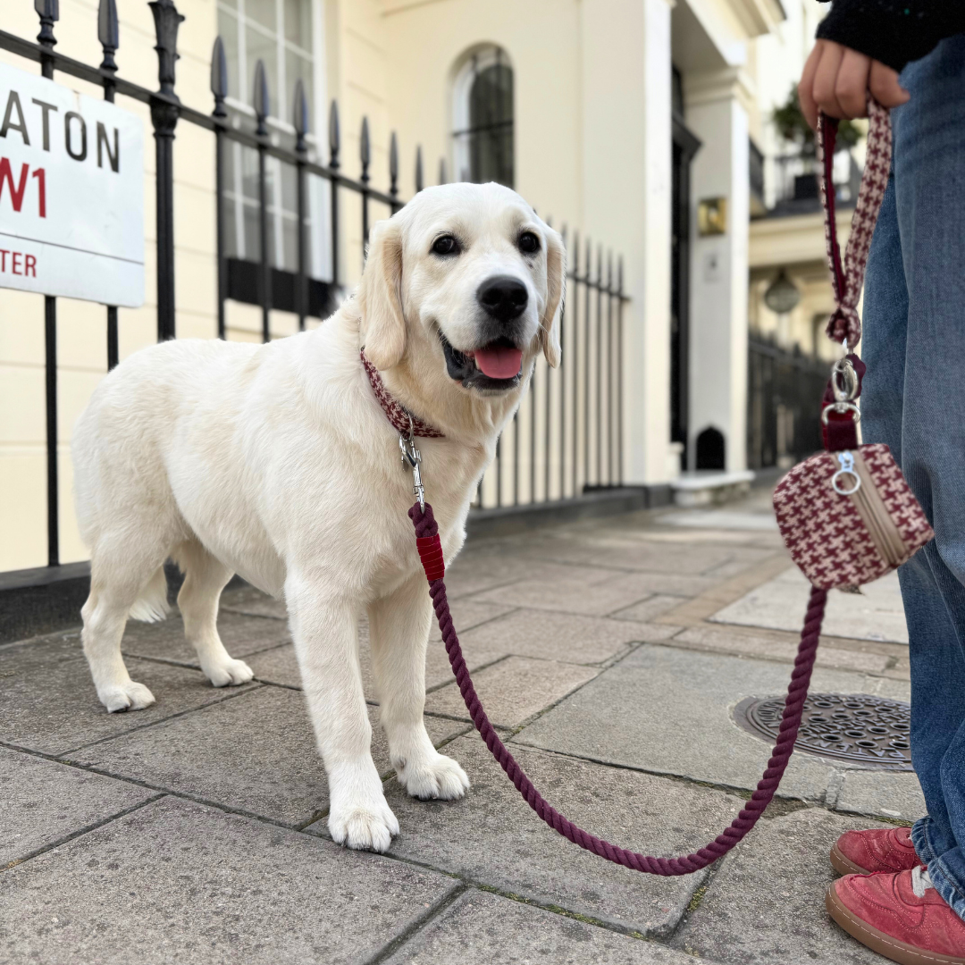 Knightsbridge - Houndstooth '25 Collection - Luxury Dog Collar