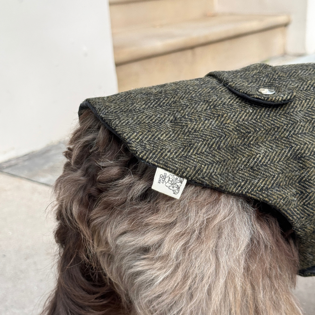 The Kenmore Design - Dog Coat - Glenlyon Collection