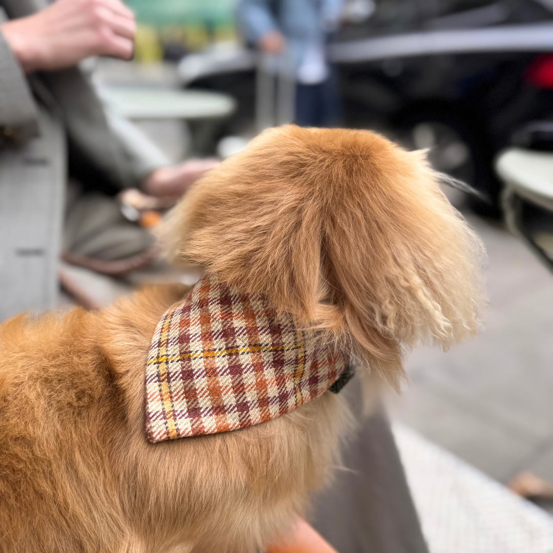 The Atholl Design - Dog Bandana - Glenlyon Collection