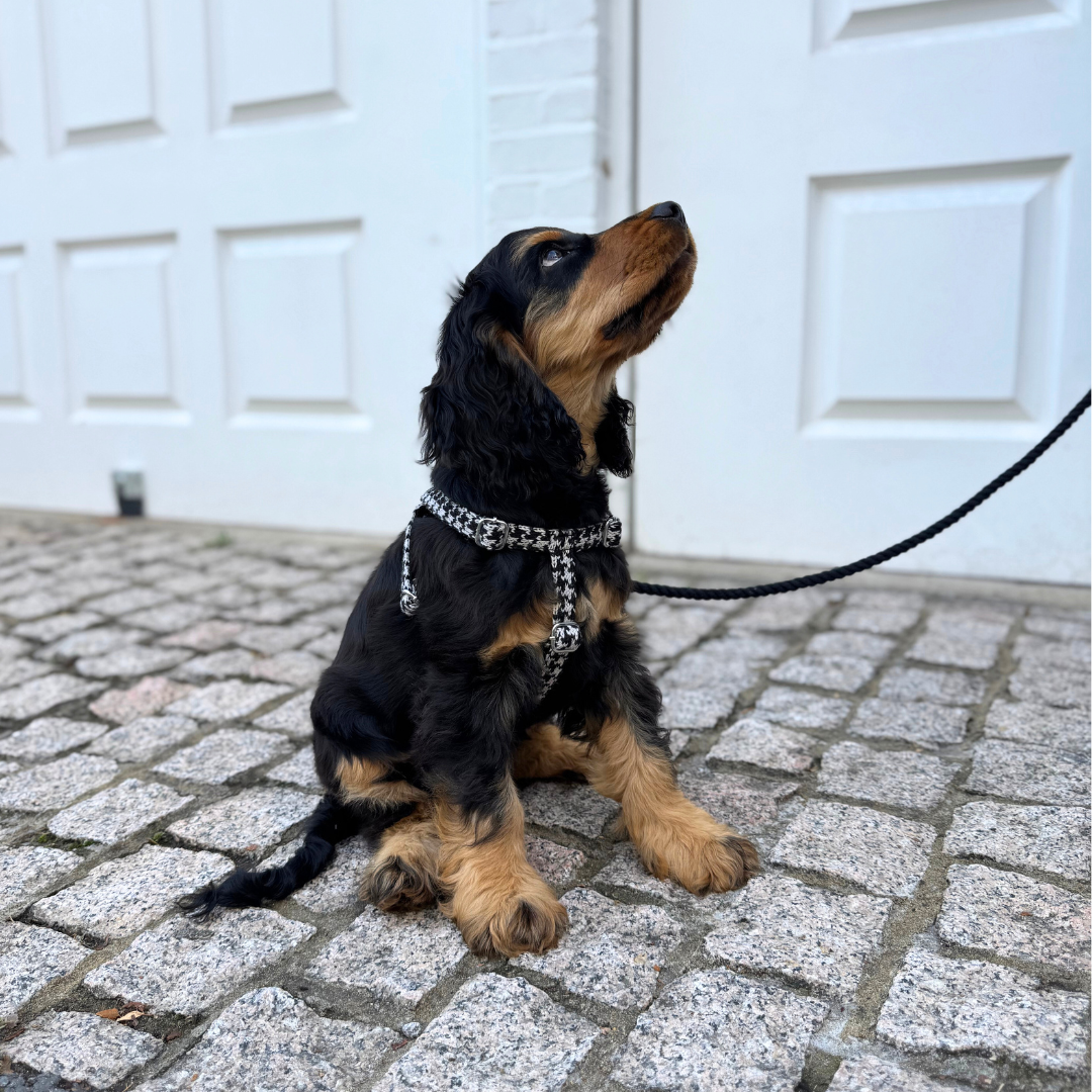 Soho - Houndstooth '25 Collection - Rope Dog Lead