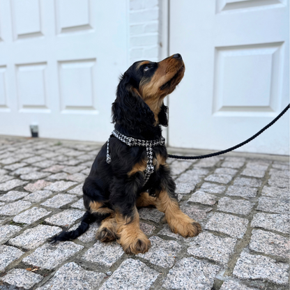 Soho - Bespoke Gift Hamper