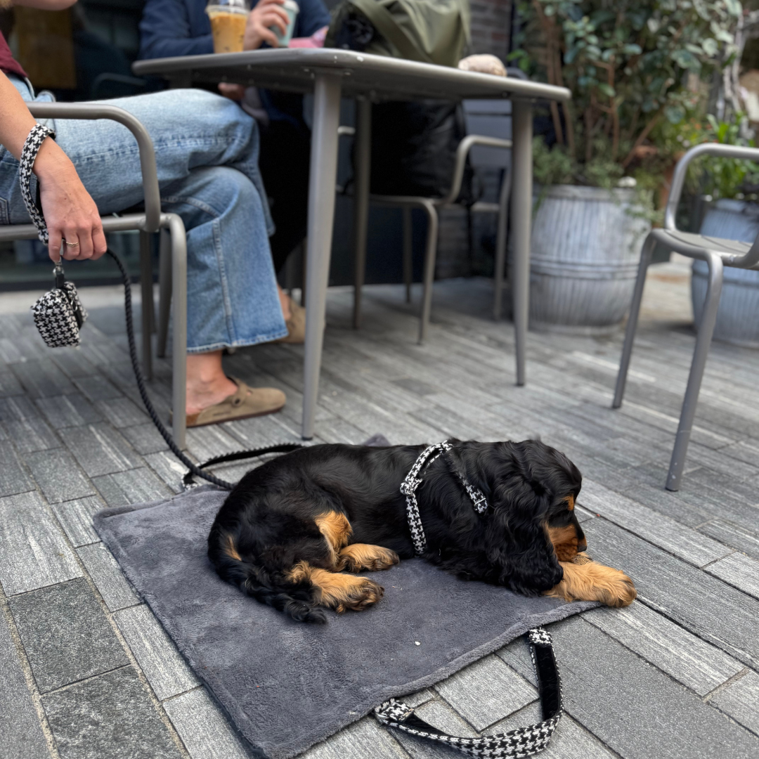 Soho - Houndstooth '25 Collection - Luxury Dog Harness