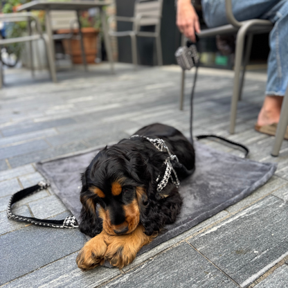 Soho - Houndstooth '25 Collection - Luxury Dog Harness