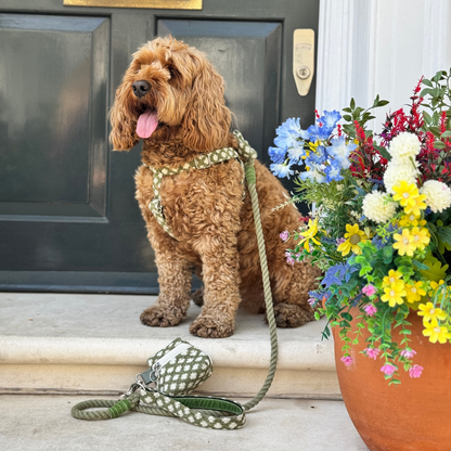 Fern - Polkadot Collection - Luxury Dog Harness
