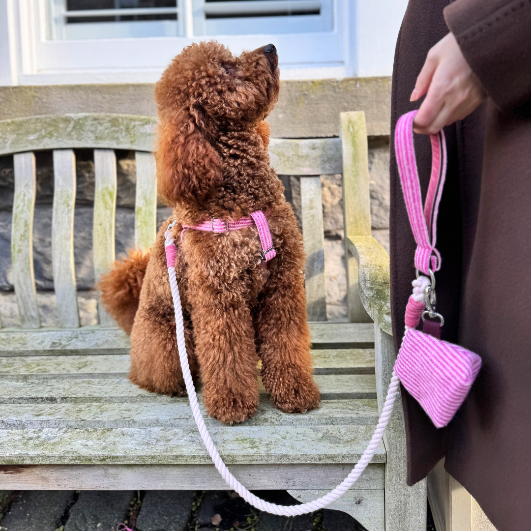 Sugarplum - Tutti Collection - Rope Dog Lead