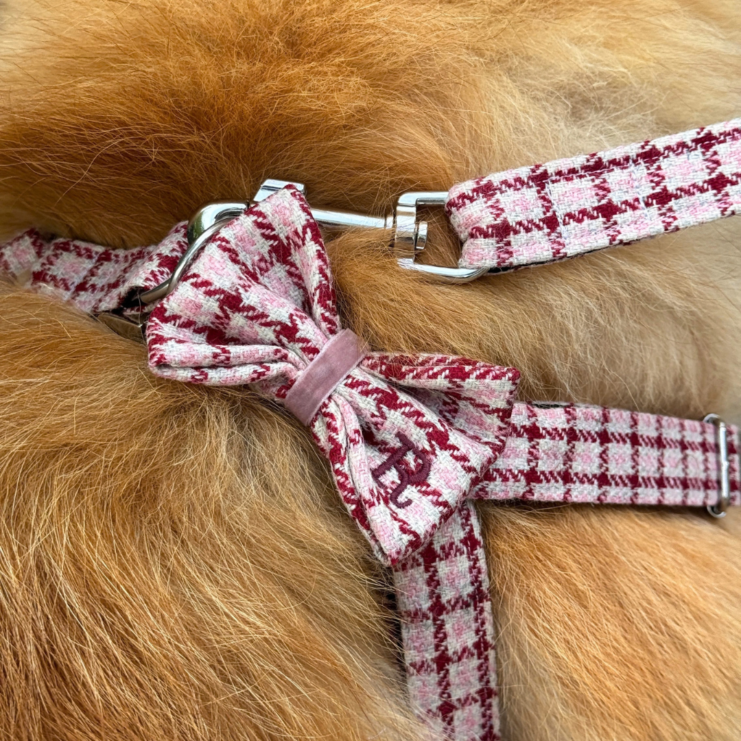 The Fearnan Design - Luxury Dog Harness - Glenlyon Collection