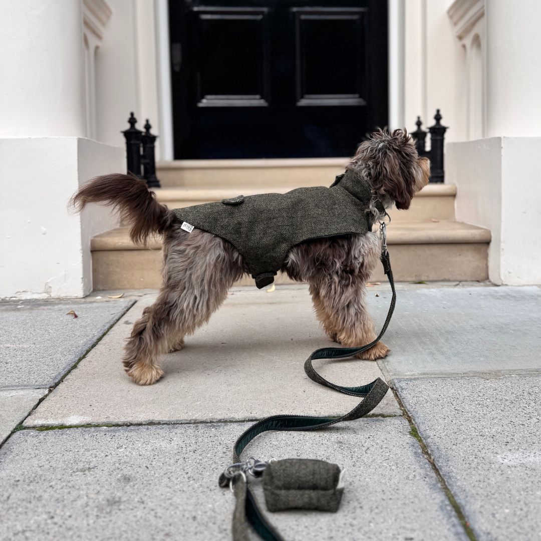 The Kenmore Design - Dog Coat - Glenlyon Collection