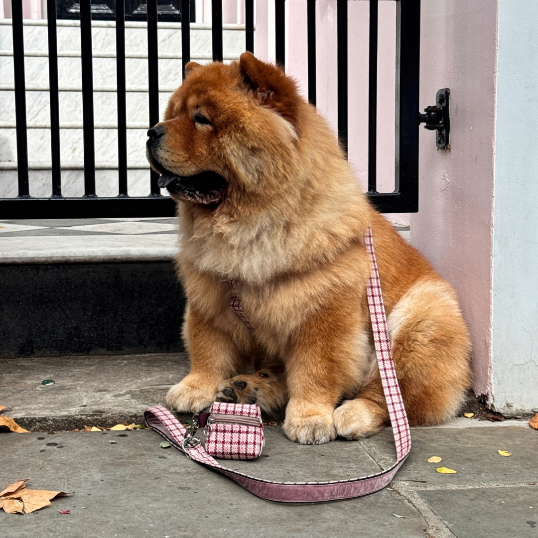 The Fearnan Design - Luxury Dog Lead - Glenlyon Collection