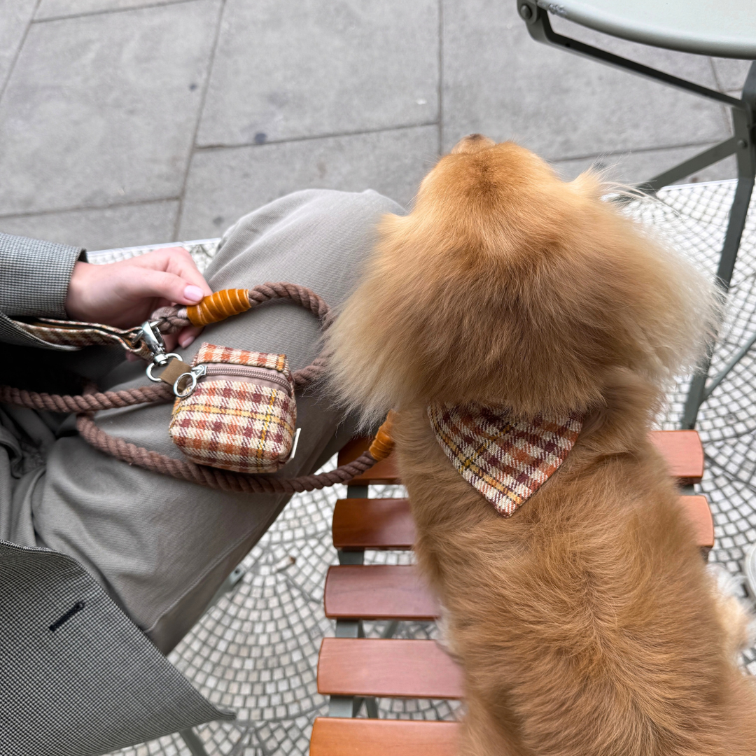 The Atholl Design - Collar, Lead & Bow Tie Bundle - Glenlyon Collection