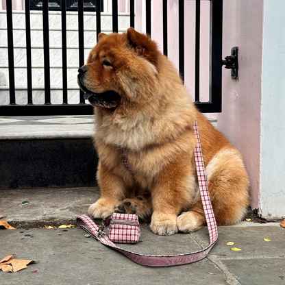 The Fearnan Design - Luxury Dog Harness - Glenlyon Collection