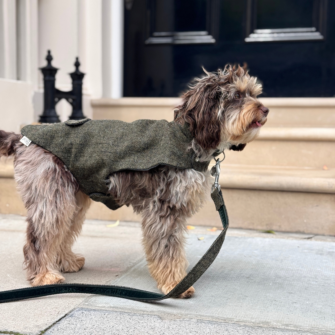 The Kenmore Design - Dog Coat - Glenlyon Collection