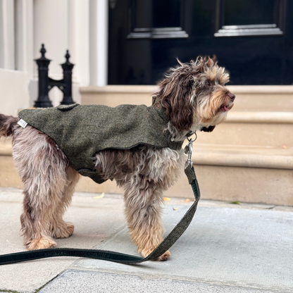 The Kenmore Design - Dog Coat - Glenlyon Collection