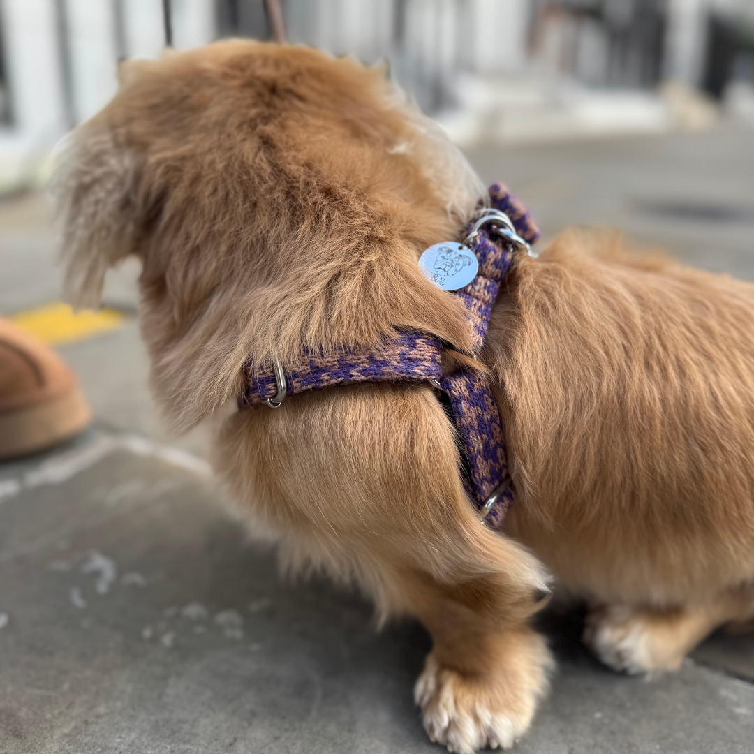 Kensington - Houndstooth '25 Collection - Luxury Dog Harness