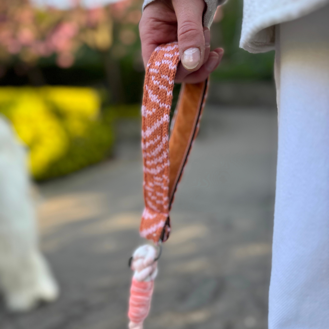 Coral - SS25 Collection - Luxury Dog Collar