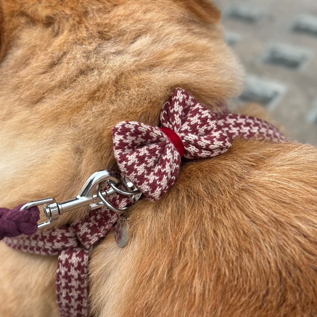 Knightsbridge - Houndstooth '25 Collection - Luxury Dog Harness