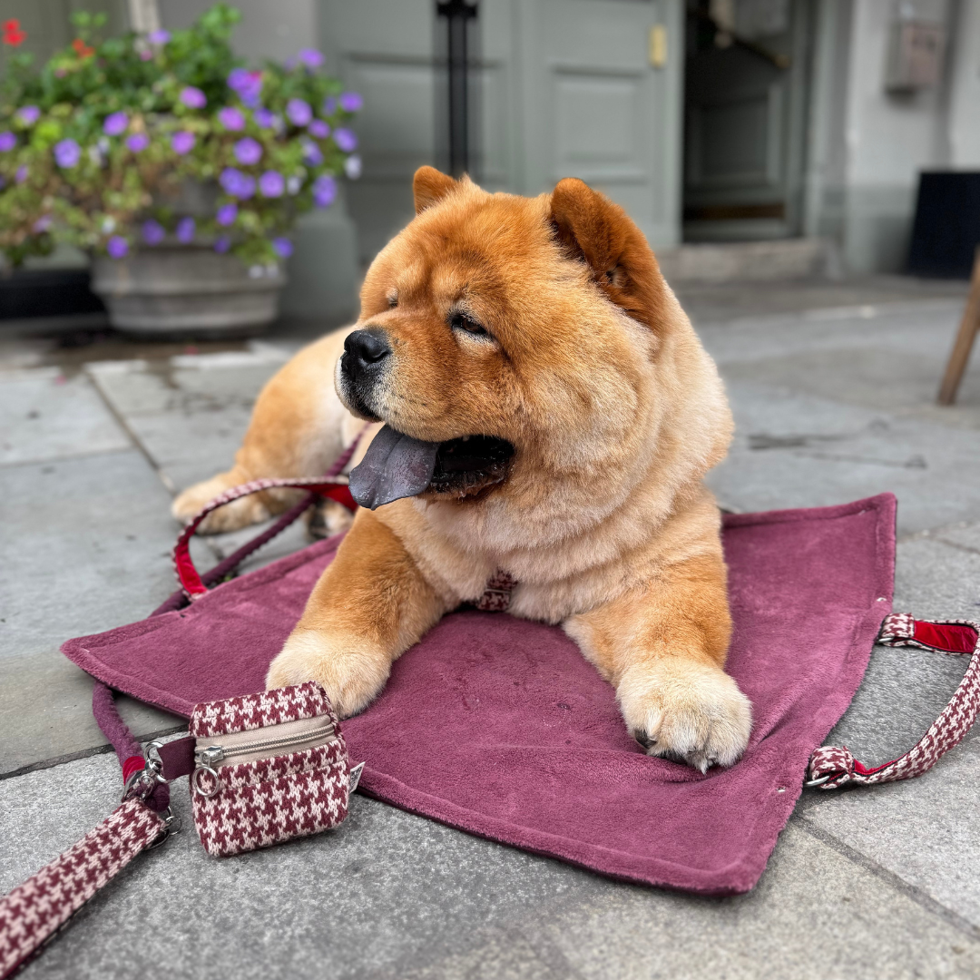 Knightsbridge - Houndstooth '25 Collection - Luxury Dog Harness