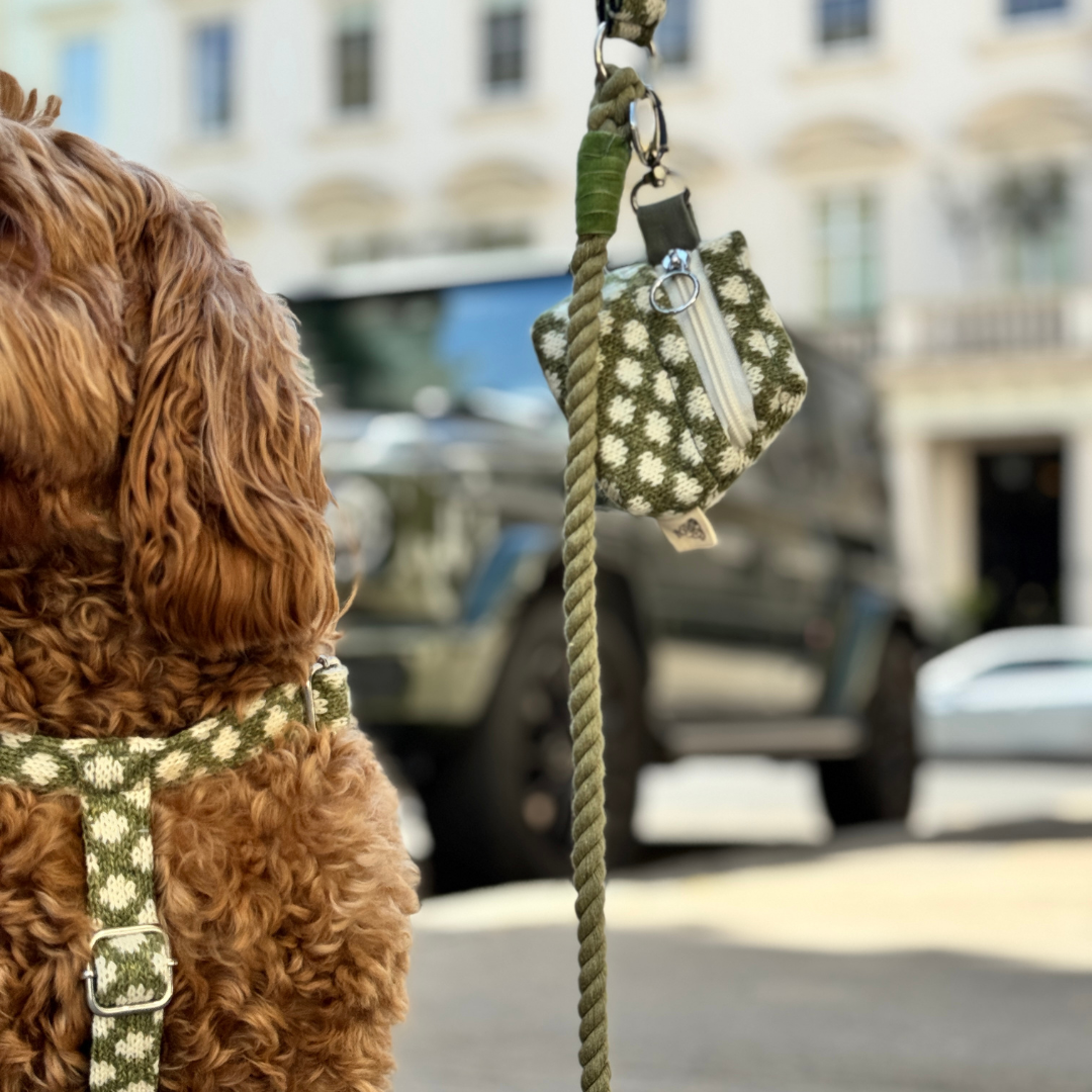 Fern - Polkadot Collection - Rope Dog Lead