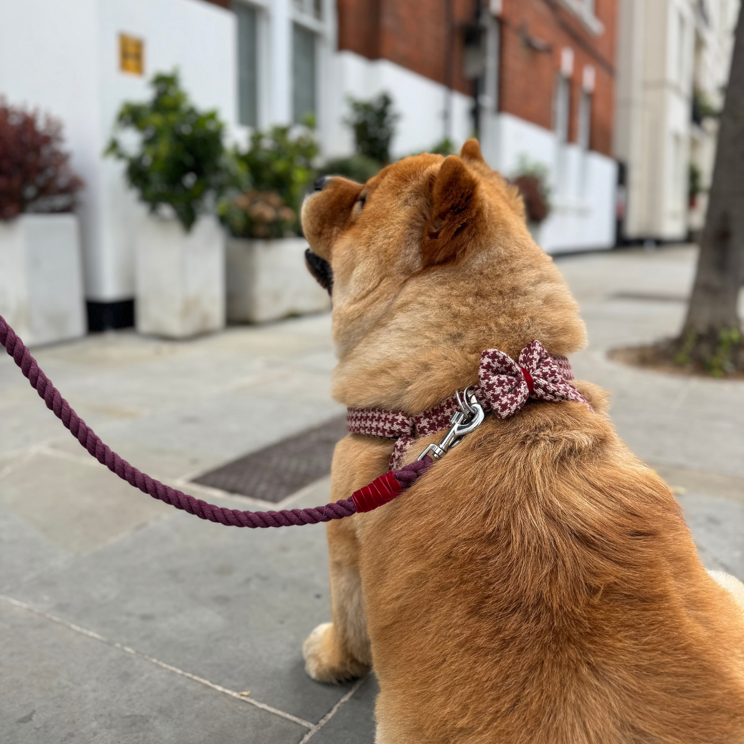 Knightsbridge - Houndstooth '25 Collection - Luxury Dog Harness