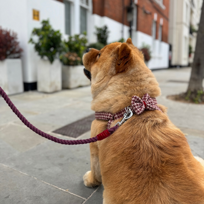 Knightsbridge - Houndstooth '25 Collection - Luxury Dog Harness