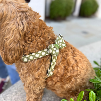 Fern - Polkadot Collection - Luxury Dog Harness