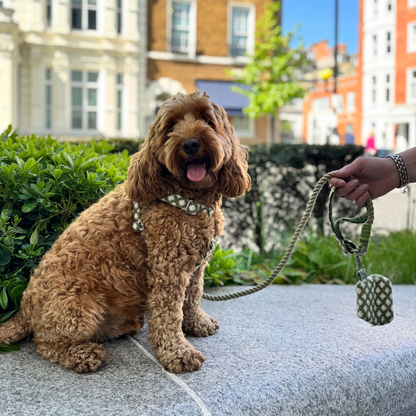 Fern - Polkadot Collection - Luxury Dog Harness