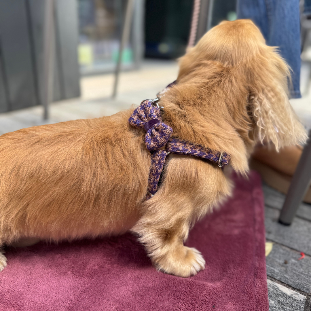 Kensington - Bespoke Gift Hamper