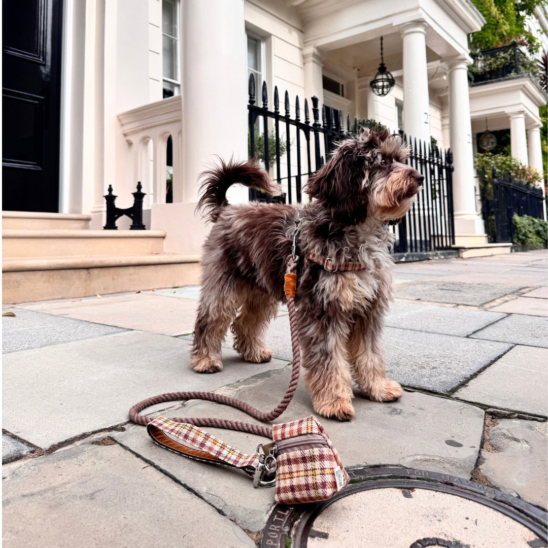 The Atholl Design - Rope Dog Lead - Glenlyon Collection