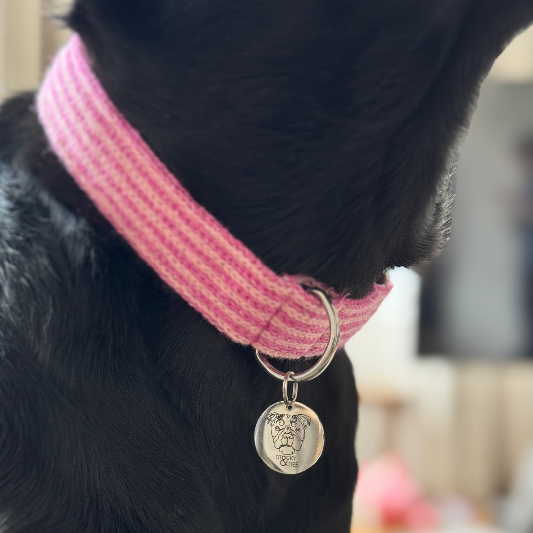 Sugarplum - Tutti Collection - Luxury Dog Collar