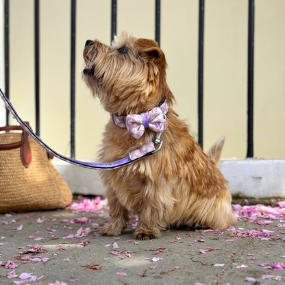 Lavender - Polkadot Collection - Dog Bow Tie